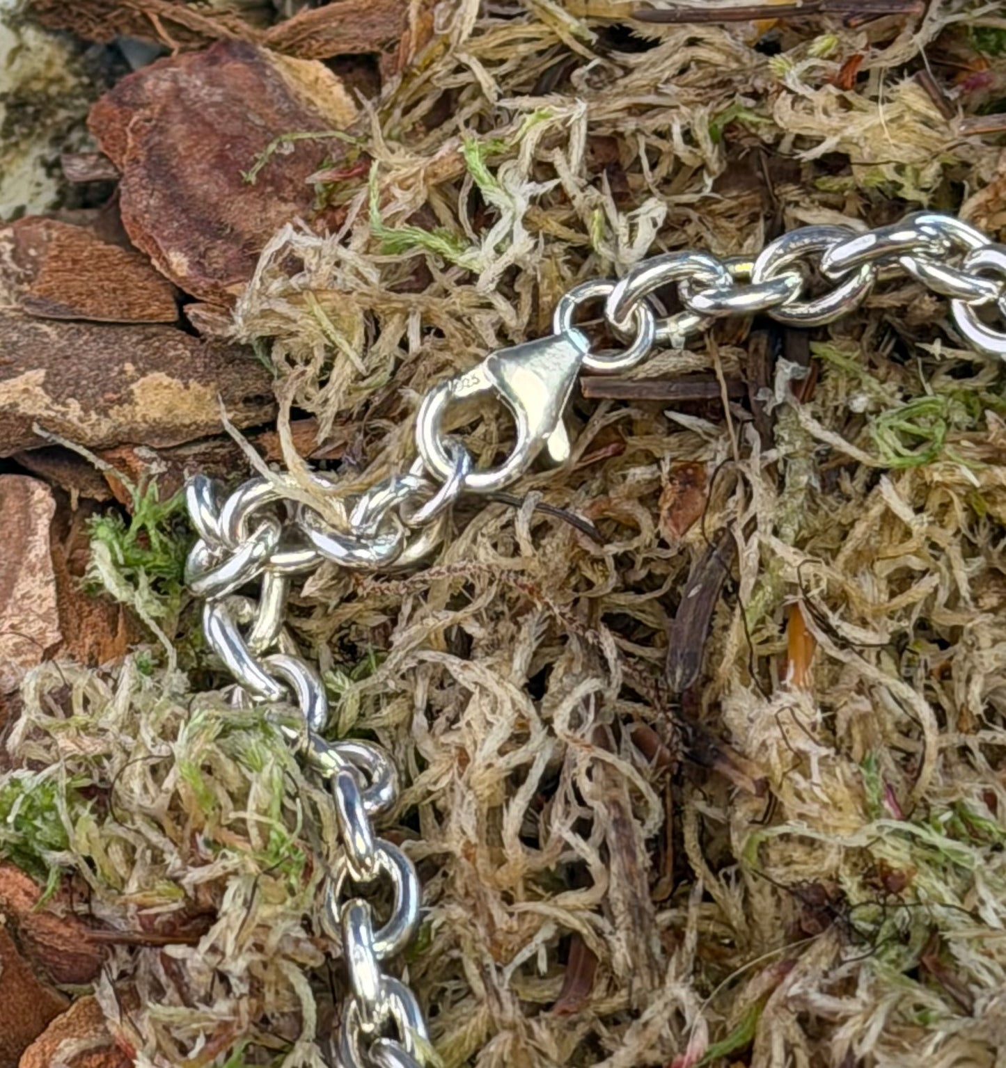 Silver chain bracelet on a natural background of moss and wood.