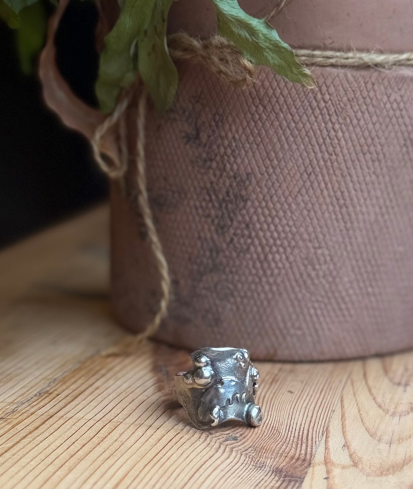 Alchemy Silver Thick molten band with beads and raised sections Plant pot in background
