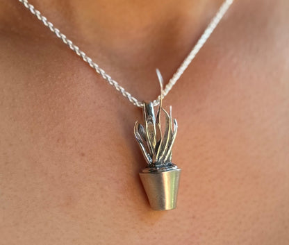 Close up of dracaena-trifasciata-pendant