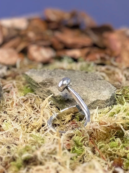 Close-up of a mushroom ring on a bed of wood chips and moss against a blue background