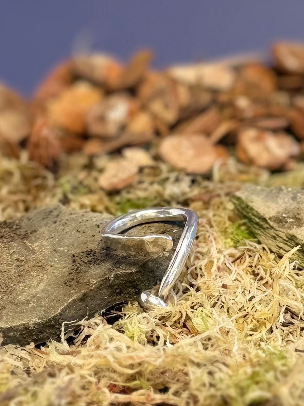 Small mushroom ring on a bed of moss and small stones against a dark blue background