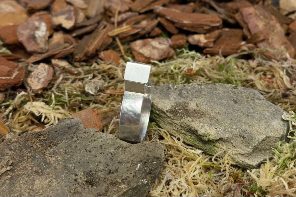 Silver birdhouse ring on a stone surface with a natural background of stones and moss.