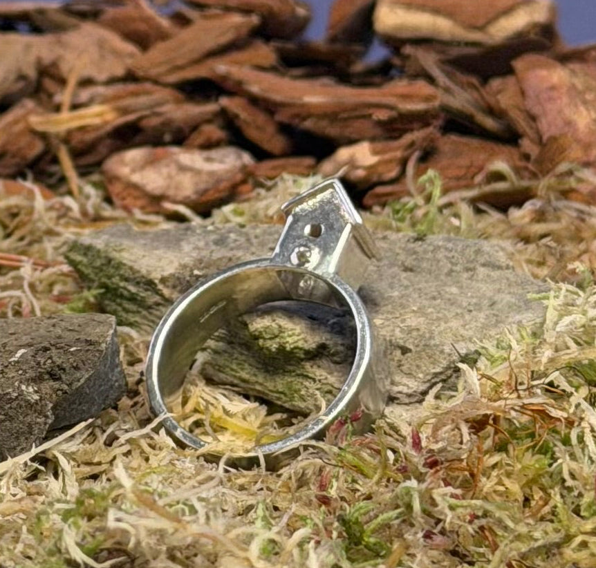 Metal ring on a natural background with stones and grass