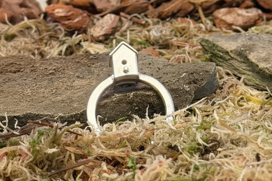 Silver birdhouse ring on a natural background with stones and grass.