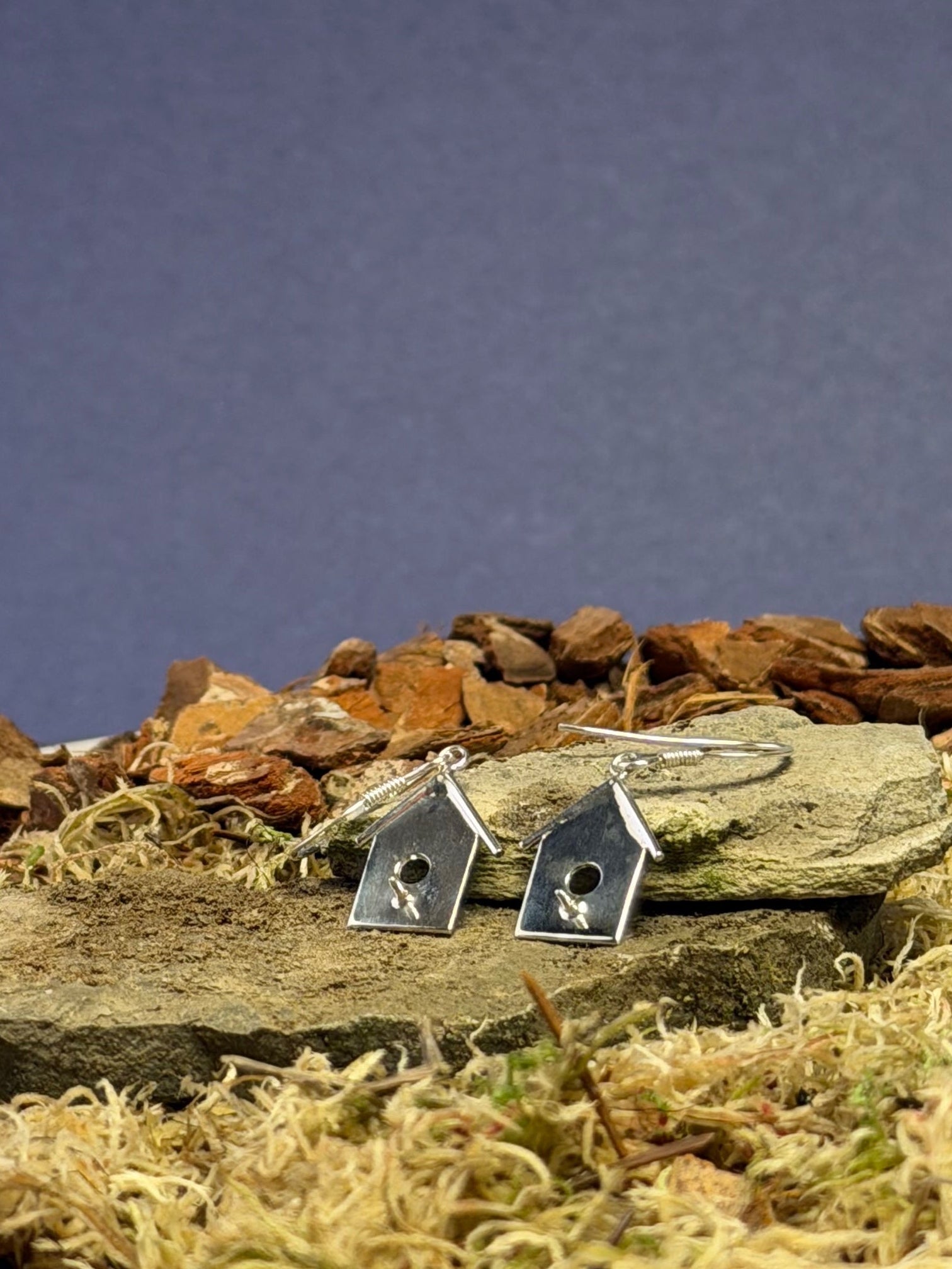 Two small birdhouse shaped earrings on a rock with a natural background