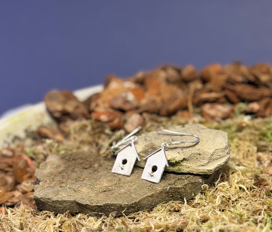 Pair of birdhouse-shaped earrings on a stone with a natural background