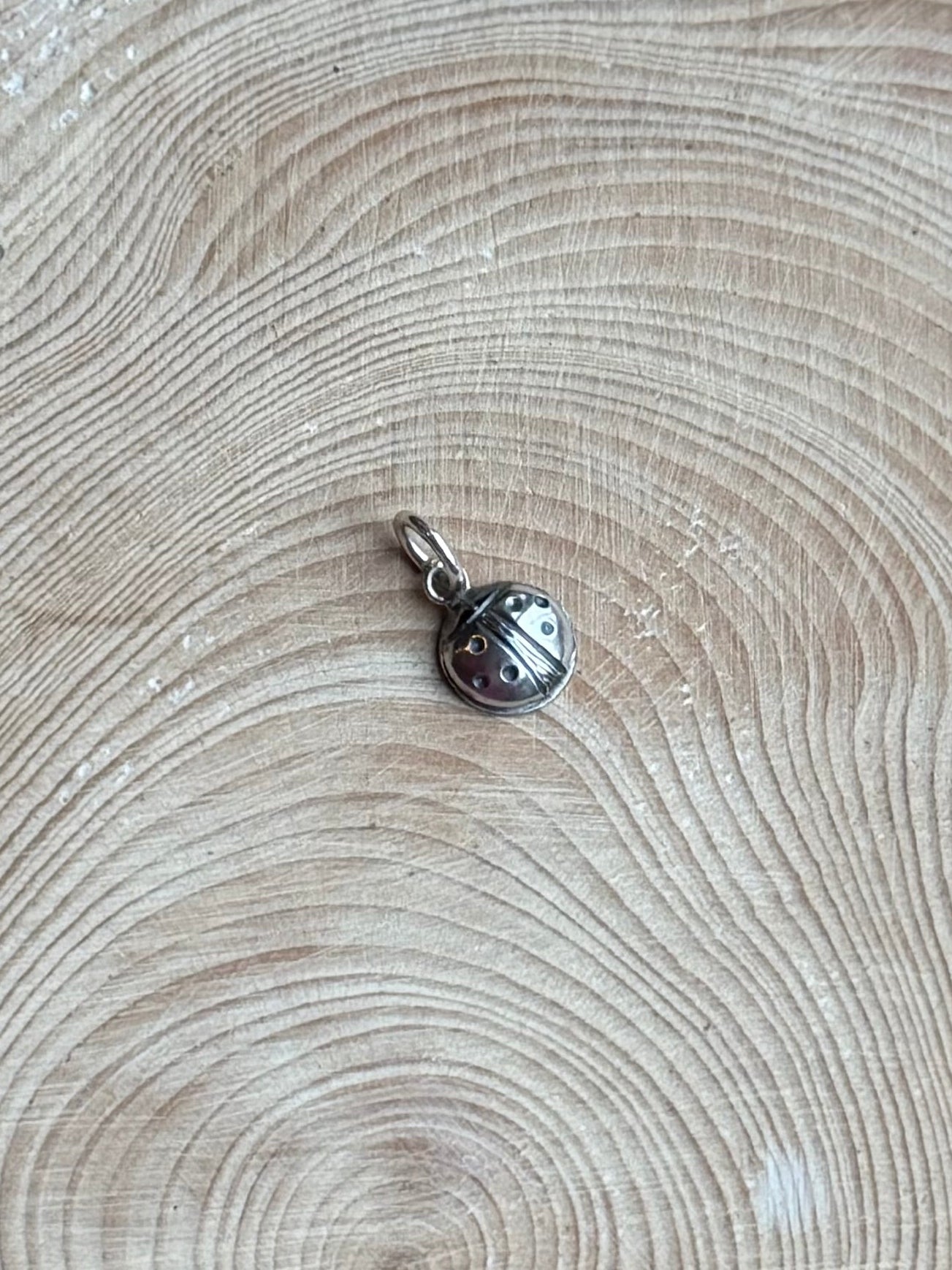 Silver ladbird charm with jumpring, on a piece of wood
