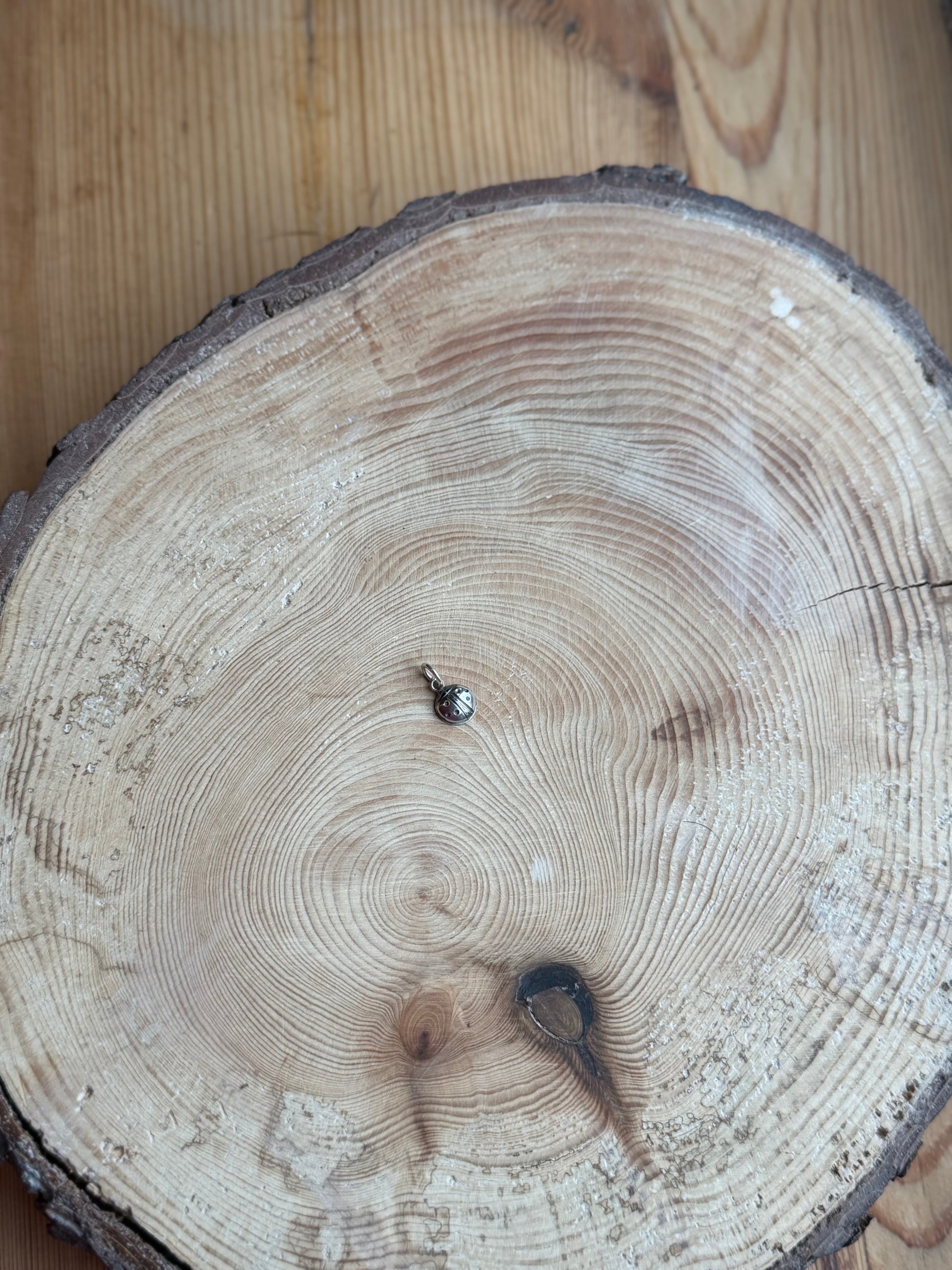Silver ladybird charm on wood