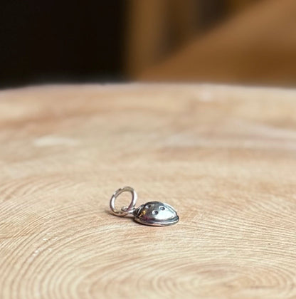 Silver ladybird charm on wooden background
