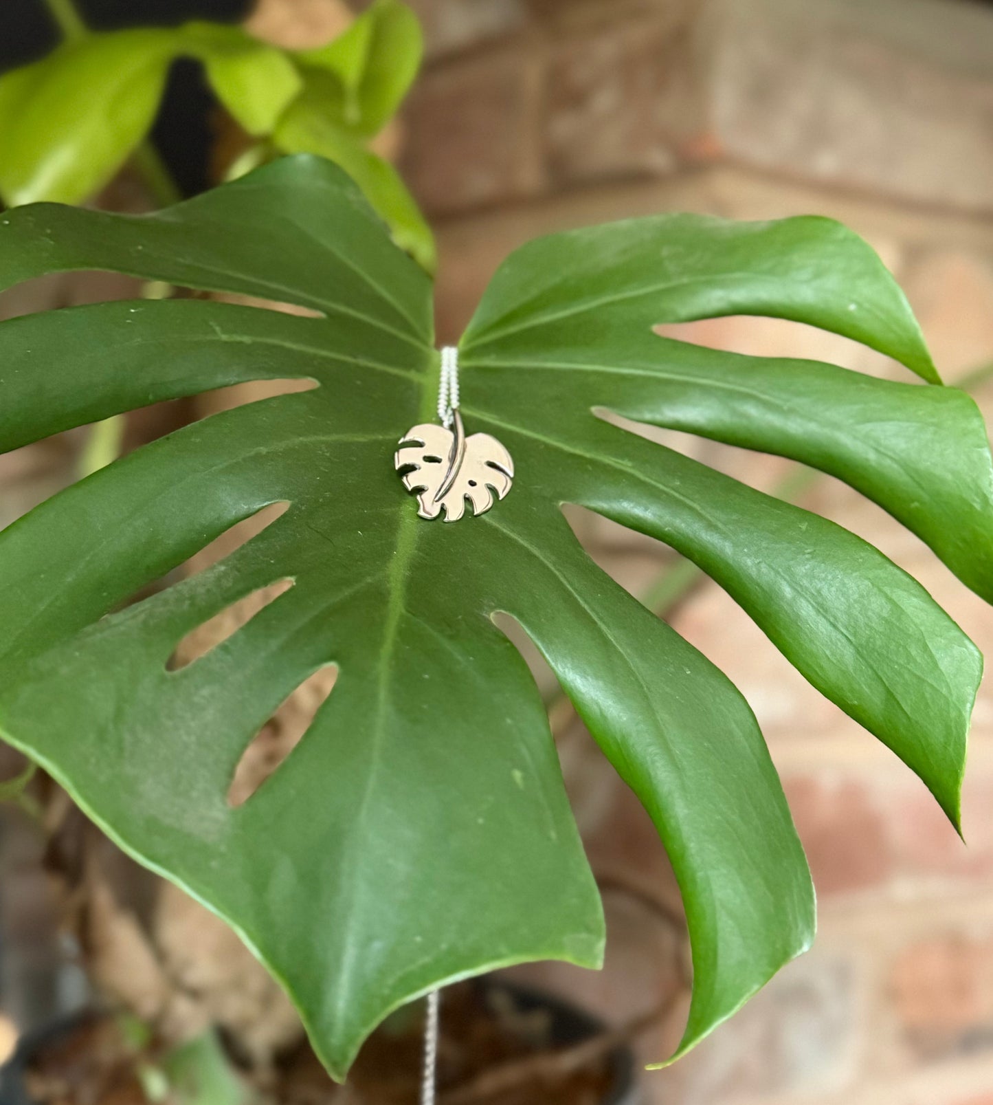 Monstera leaf pendant made in silver, draped over a monstera leaf with a brick background.