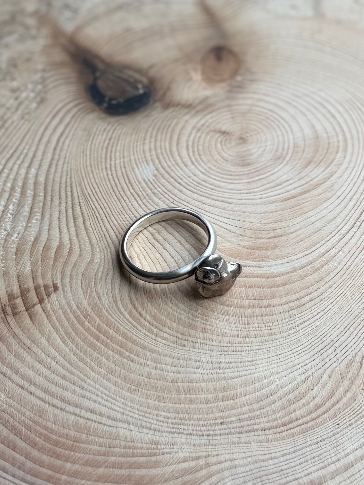 Alchemy comet ring on wood