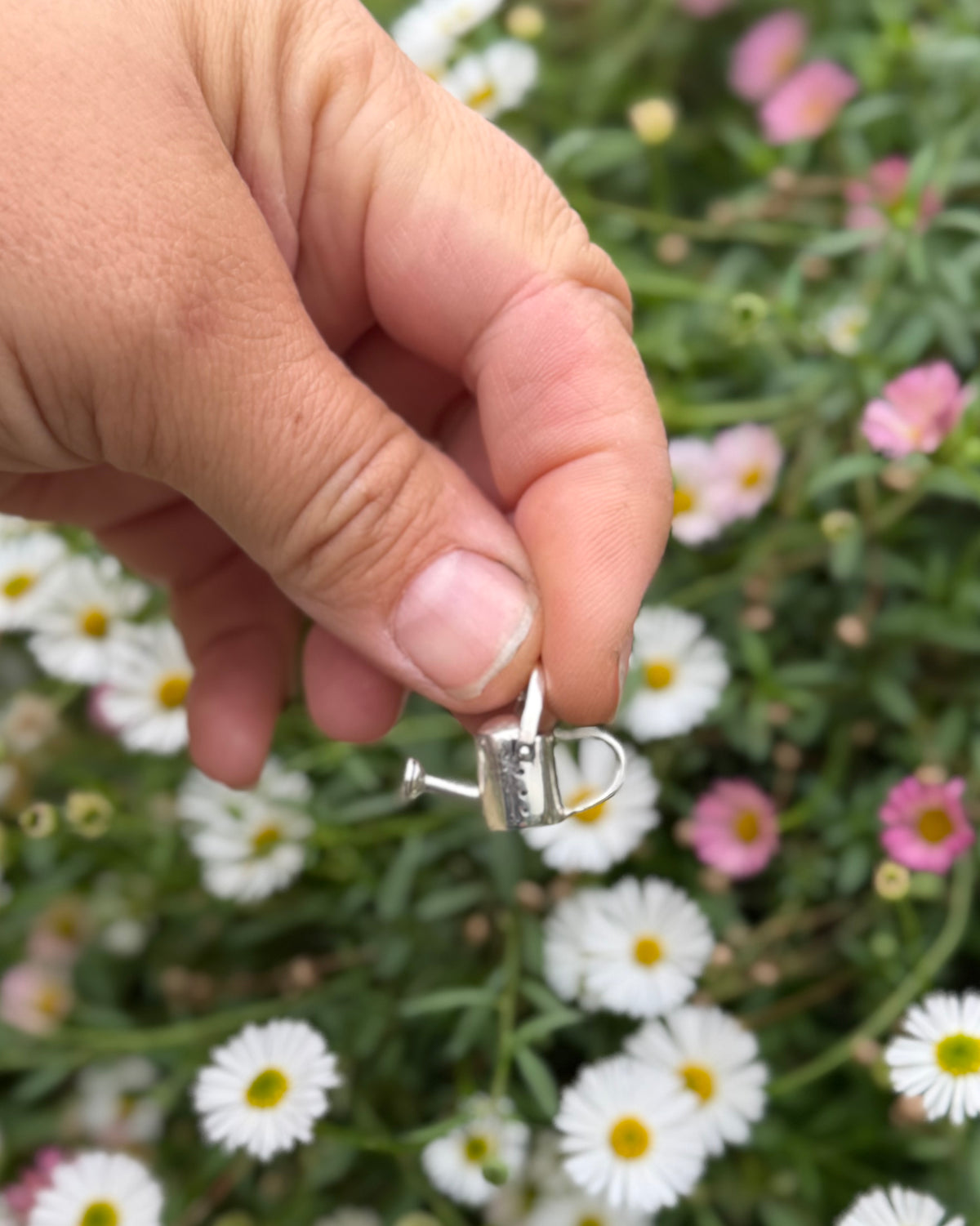 Silver Watering can dangling in flowers, being held by a hand