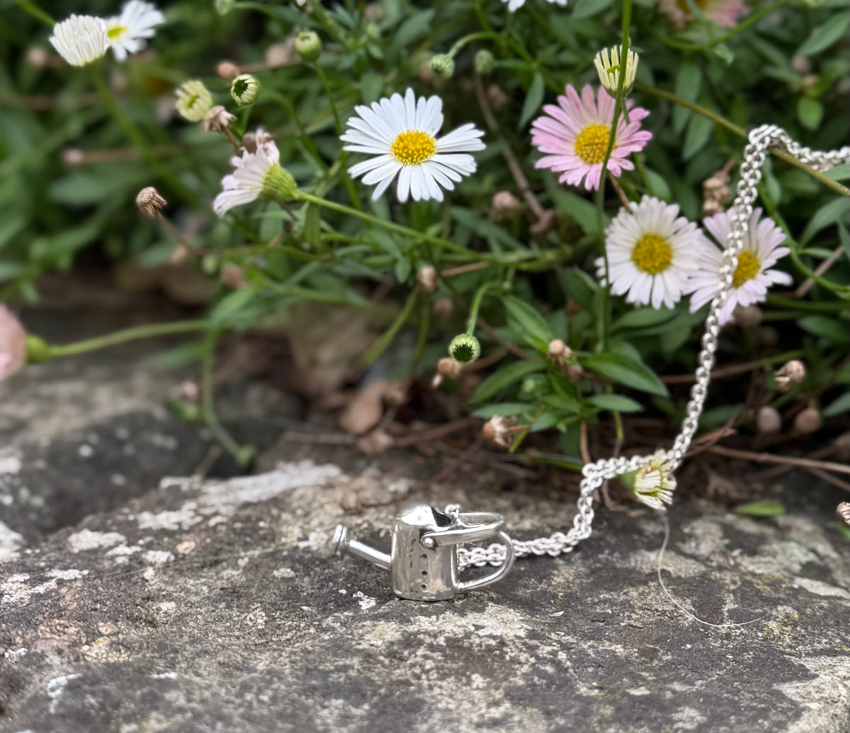 Silver Watering can in front of flowers