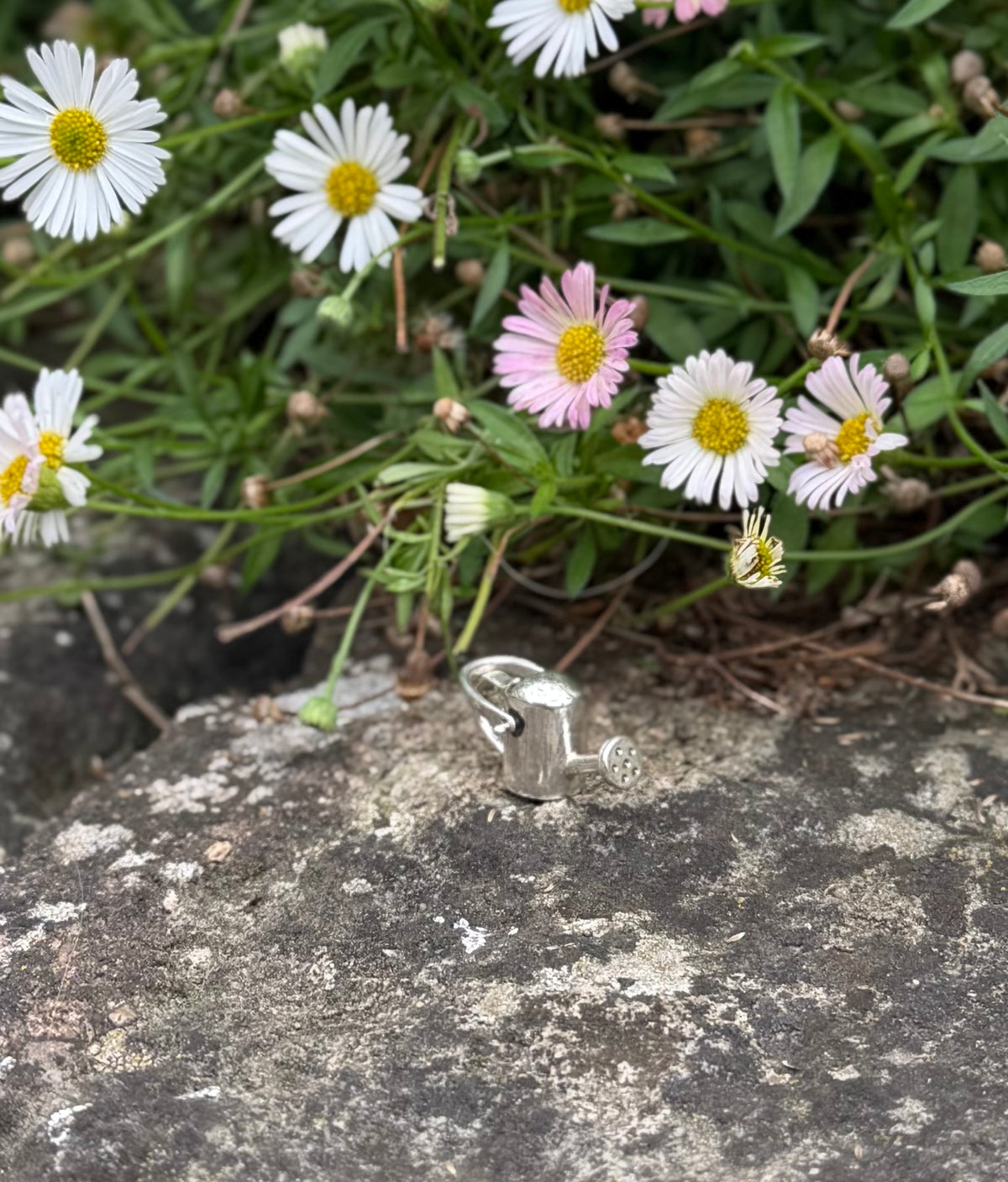 Silver Watering can in front of flowers