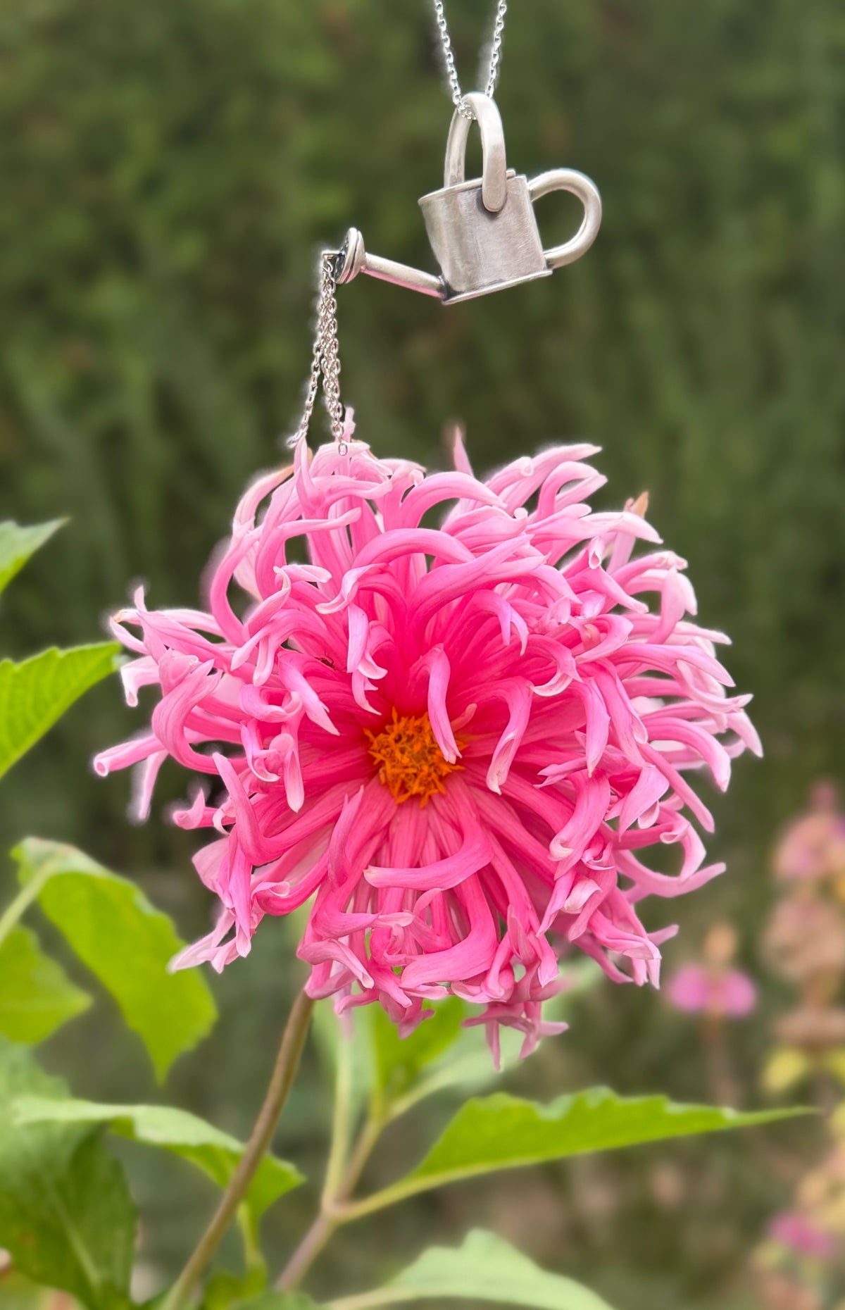 Silver watering can pendant hanging above a pink flower, with dangling chains creating the effect of pouring water.
